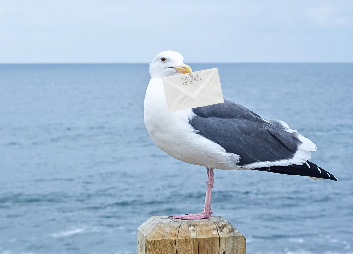 Eine Möwe mit einem Brief im Schnabel